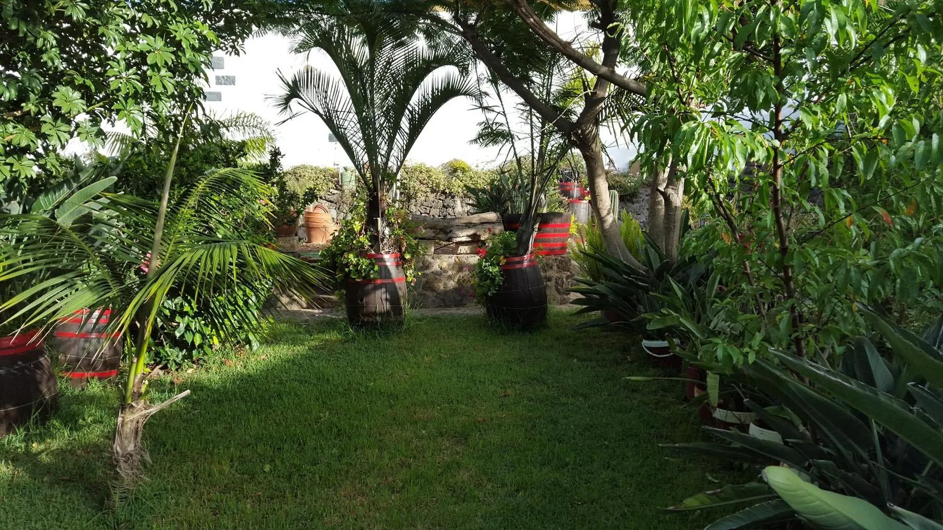 Sea View Apartment In San Cristobal De La Laguna - 70 Sqm