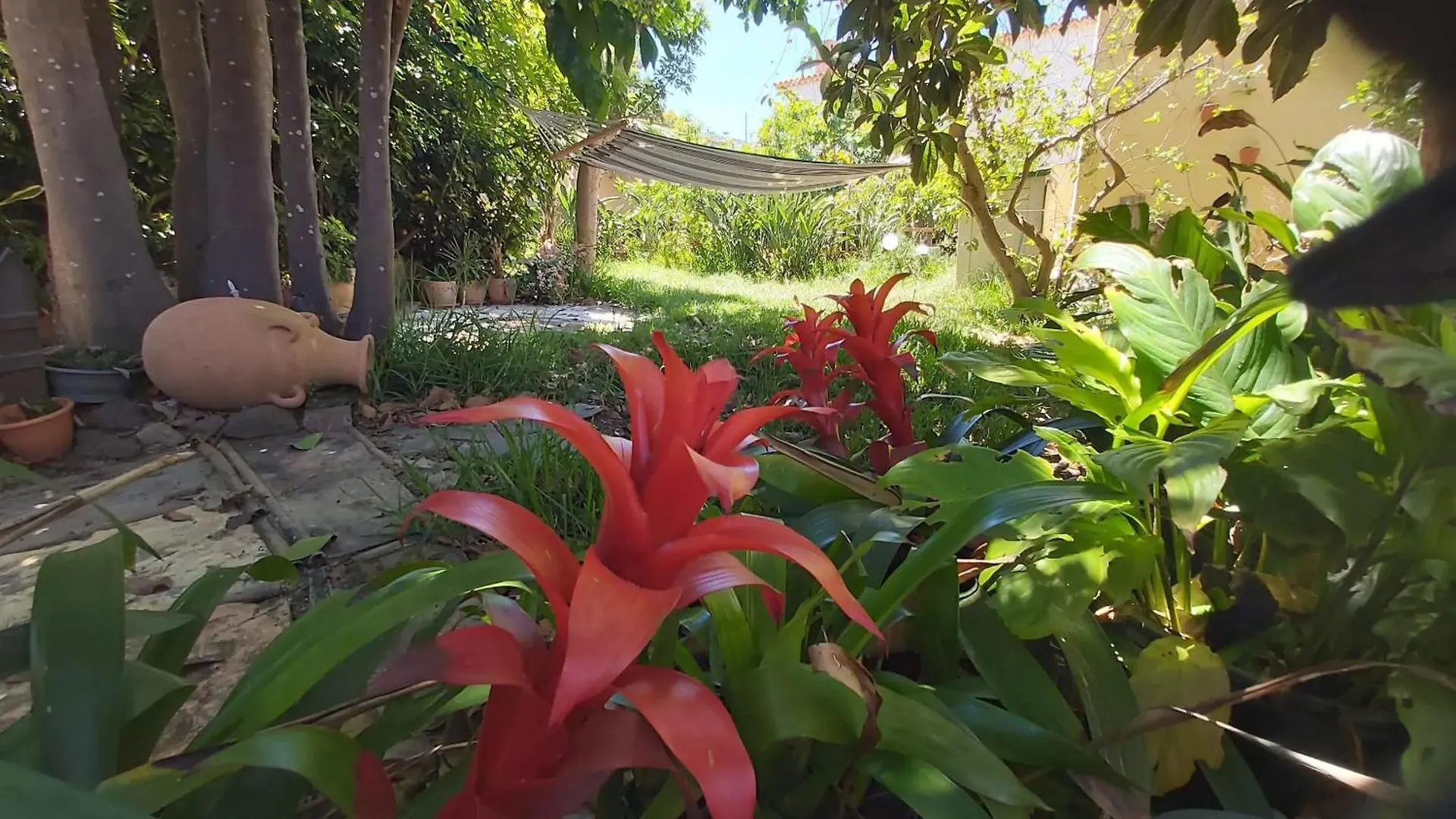 Sea View Apartment In San Cristobal De La Laguna - 70 Sqm 0*, La Laguna (Tenerife) Španělsko